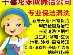 平舆家政服务全方位指南 从信息查询到专业管理