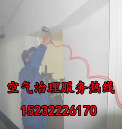 空气治理产品中心 定州市家帮家政服务引领物业管理新风尚
